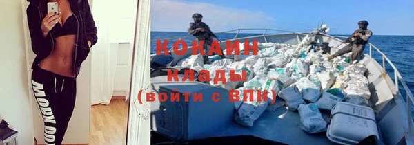 сатива Абинск