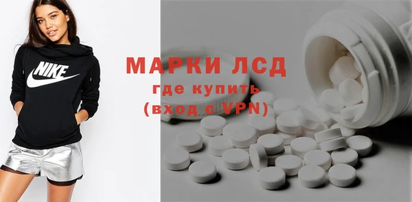 сатива Абинск