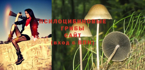 сатива Абинск