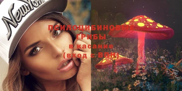 apvp Абдулино