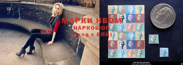 сатива Абинск