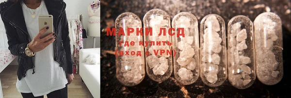 сатива Абинск